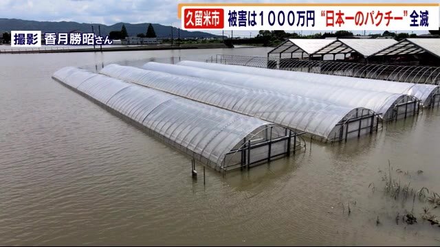 豪雨被害次々と明らかに なぎ倒されたミカンの木 日本一のパクチー全滅 はかた地どりの鶏舎浸水 福岡県