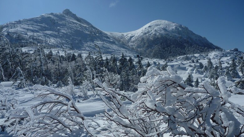 「19歳女性が低体温症の疑いがある」と救助要請　横浜市の大学生が山小屋に宿泊中に体調不良となり行動不能　ヘリコプターで救助　8人パーティで八ヶ岳連峰天狗岳を登山｜FNNプライムオンライン