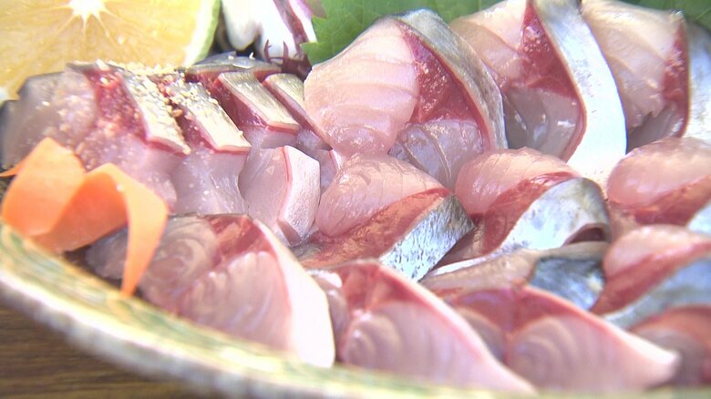 “サバジェンヌ”も太鼓判のサバグルメが勢揃い「鯖サミット」 ことしは長崎・松浦市で開催｜FNNプライムオンライン