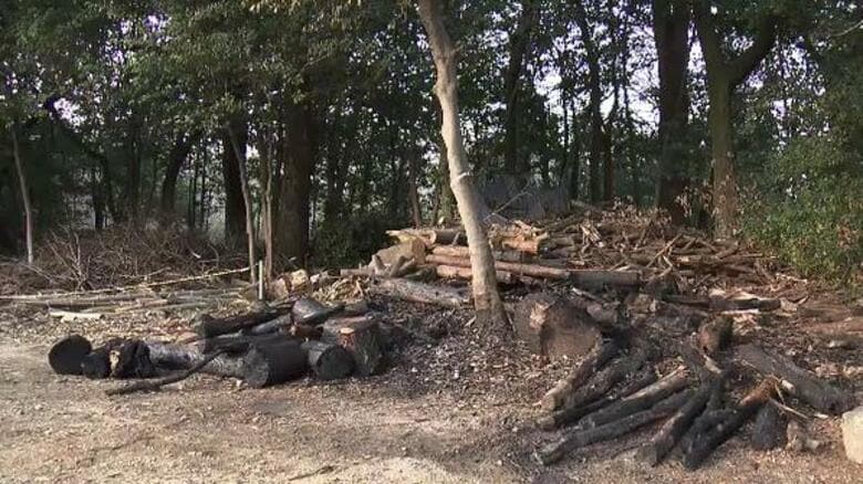 同一犯による放火の可能性も…愛知県長久手市にある2つの神社で火事 1kmほどの距離で枯れ草など燃える｜FNNプライムオンライン