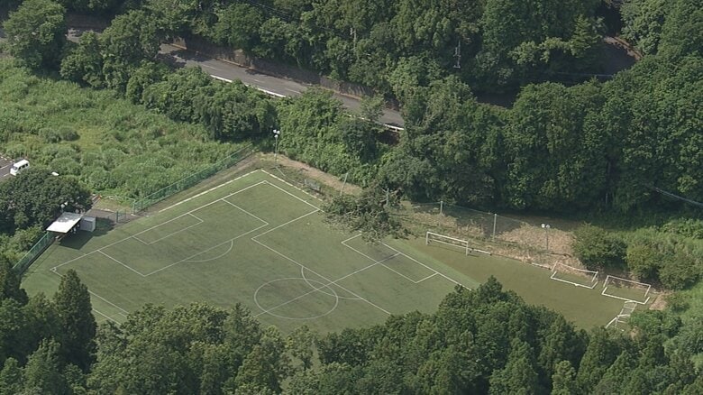 【続報】御殿場のサッカー場で倒木　小学生の試合を観戦　幼児から40代女性まで7人搬送｜FNNプライムオンライン