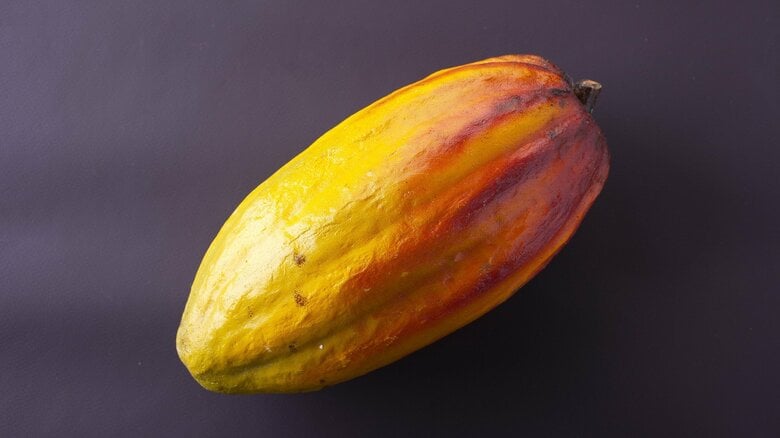 代替チョコレートはカカオ不足の救世主？製造メーカーに聞いた開発の経緯とチョコレートとの気になる違い｜FNNプライムオンライン