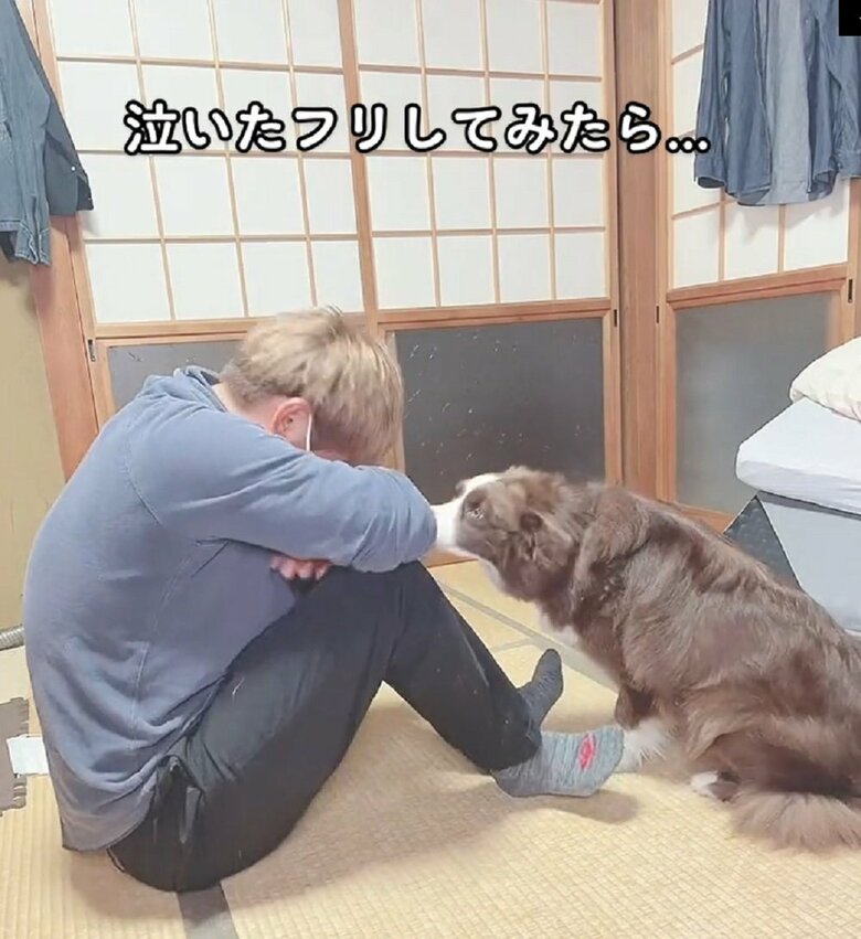 泣いたフリをしてみた