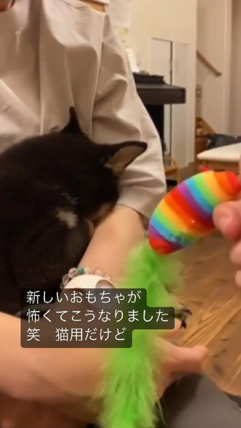 やっぱり怖い！