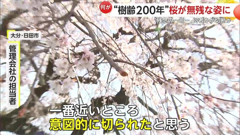 「一番近いところ。意図的に切られたなと思う」と語る管理会社の担当者