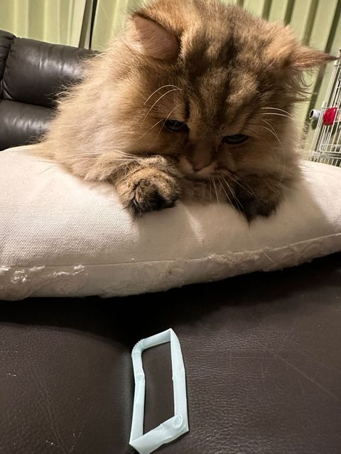 提供：ひなたさん