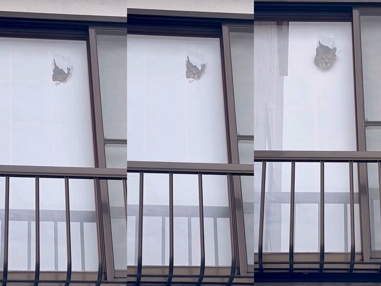 提供：ちびまるまろんさん
