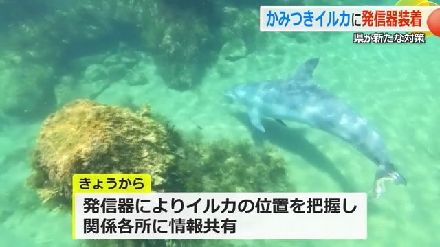 発信器からの情報をリアルタイムで共有