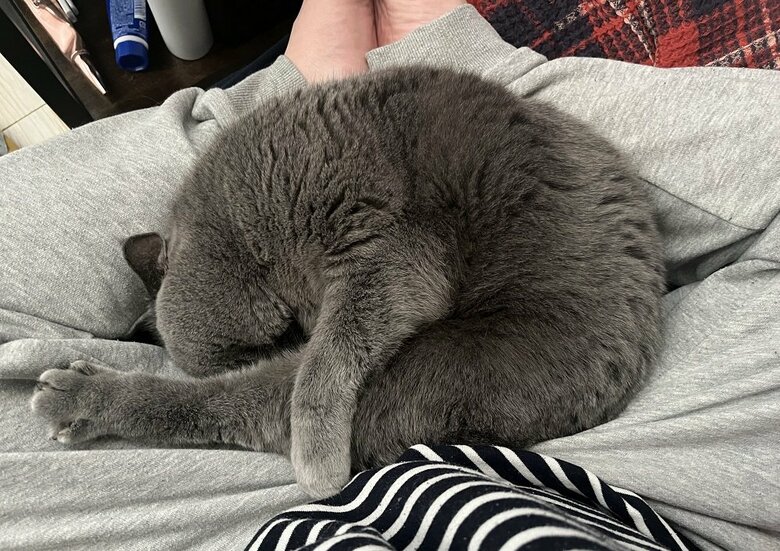 足をピーンとしたまま寝ている