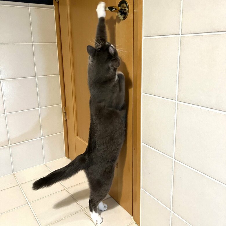 トイレから出て行こうとしている…