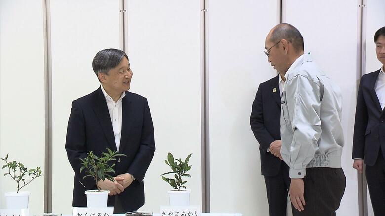 埼玉県茶業研究所で説明を受けられる天皇陛下