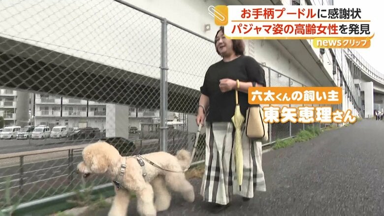 散歩しながら見守りも行う六太くん
