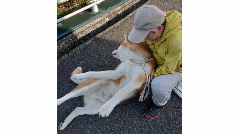あおむけにするのが一番効果があり、動いてくれるようになる