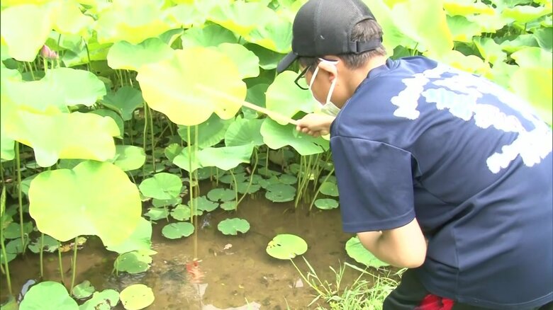 池に竿を入れて…とれた！