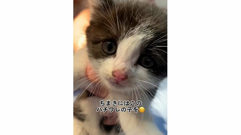 保護したときの陽葵ちゃん