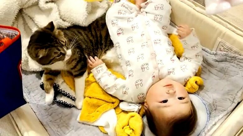 よいしょと起き上がるキウイくん