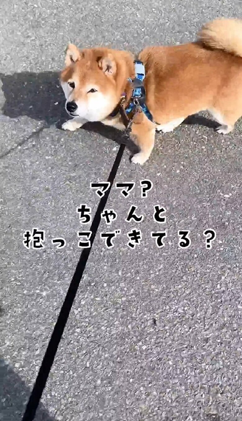 散歩中も気にかけてくれる