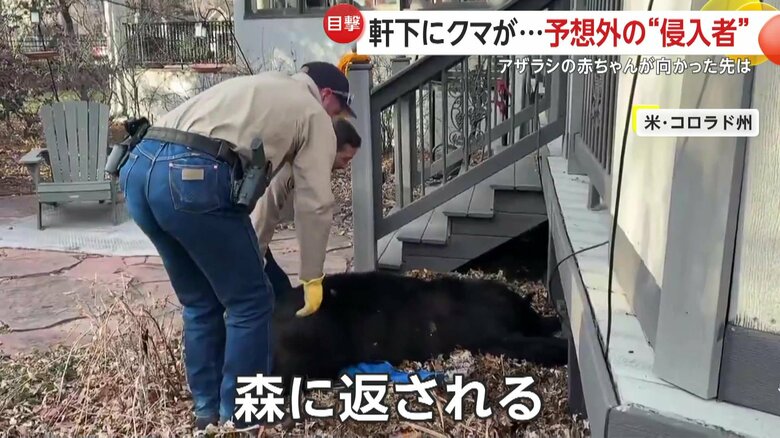 家の軒下から引っ張り出されるクマ（CPW SE Region）