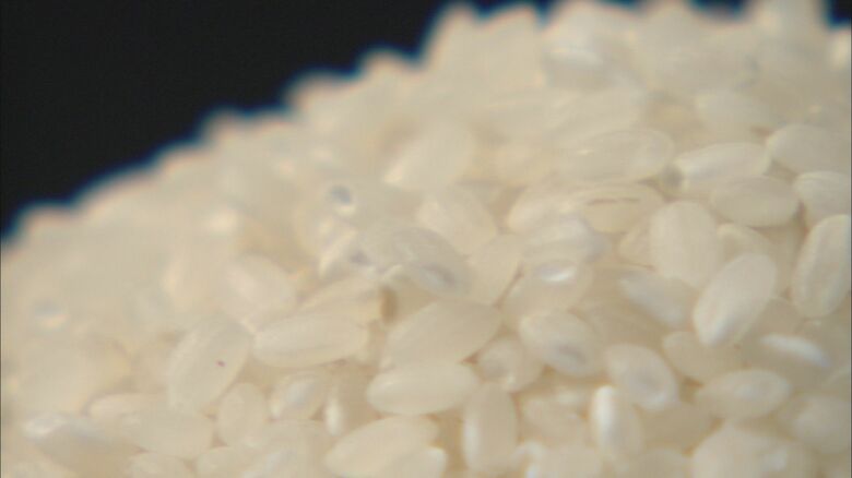 異例の高額となったコメの概算金