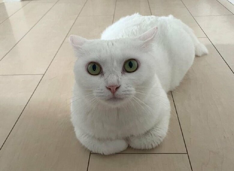 何か警戒している？うにちゃん