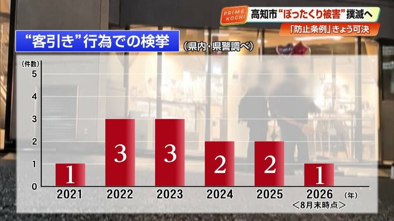 検挙件数だけ見れば被害は少ないように思えるが…