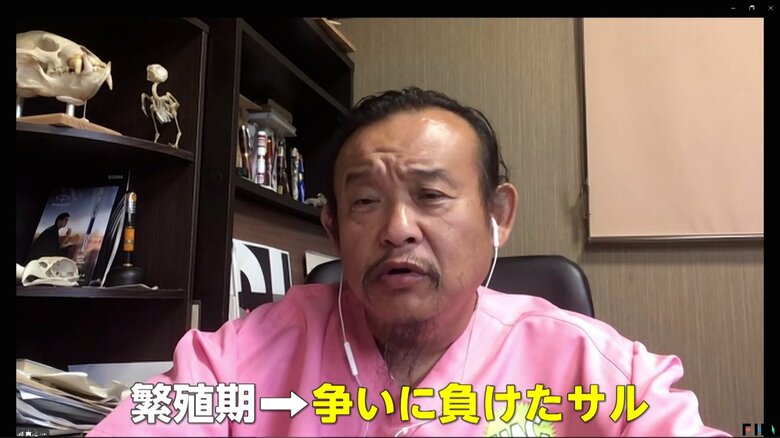 「順位争いに負けたサルが群れからはぐれている」と指摘するパンク町田氏