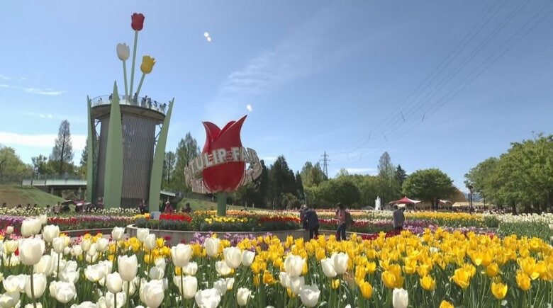 となみチューリップフェア（写真は22日）