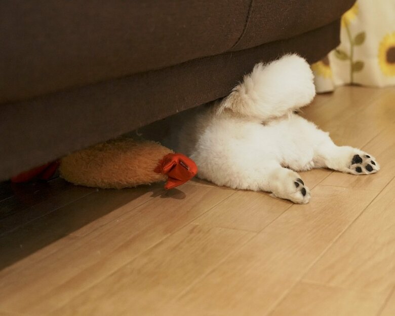 エビフライのオモチャで遊びながら寝落ち