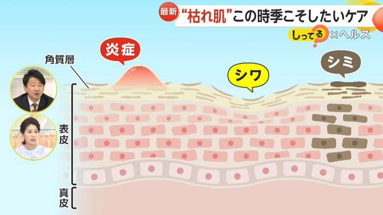 冬の乾燥により炎症やシミ、シワを引き起こす肌の仕組み⑦