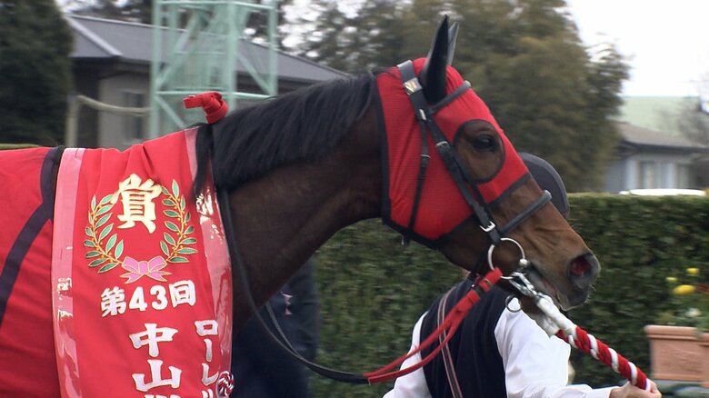 今年の中山牝馬Sを制したシランケド