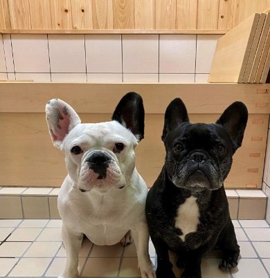 左：スマイルちゃん　右：エンジェルちゃん（提供：天使の笑顔さん）