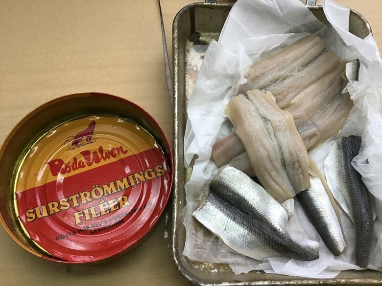 実物を取り出して並べる