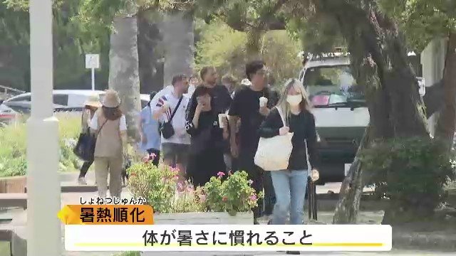 「暑熱順化」の取り組みを