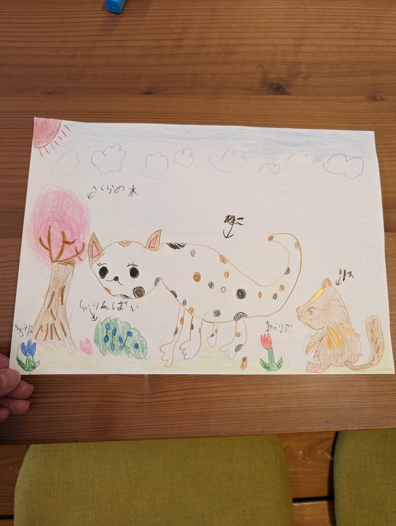 提供：トリッシュさん