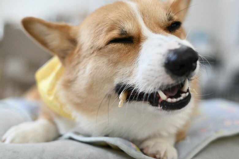 おいしいと至福の表情