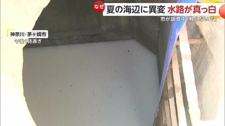 2キロ上流のマンホール内の水も真っ白