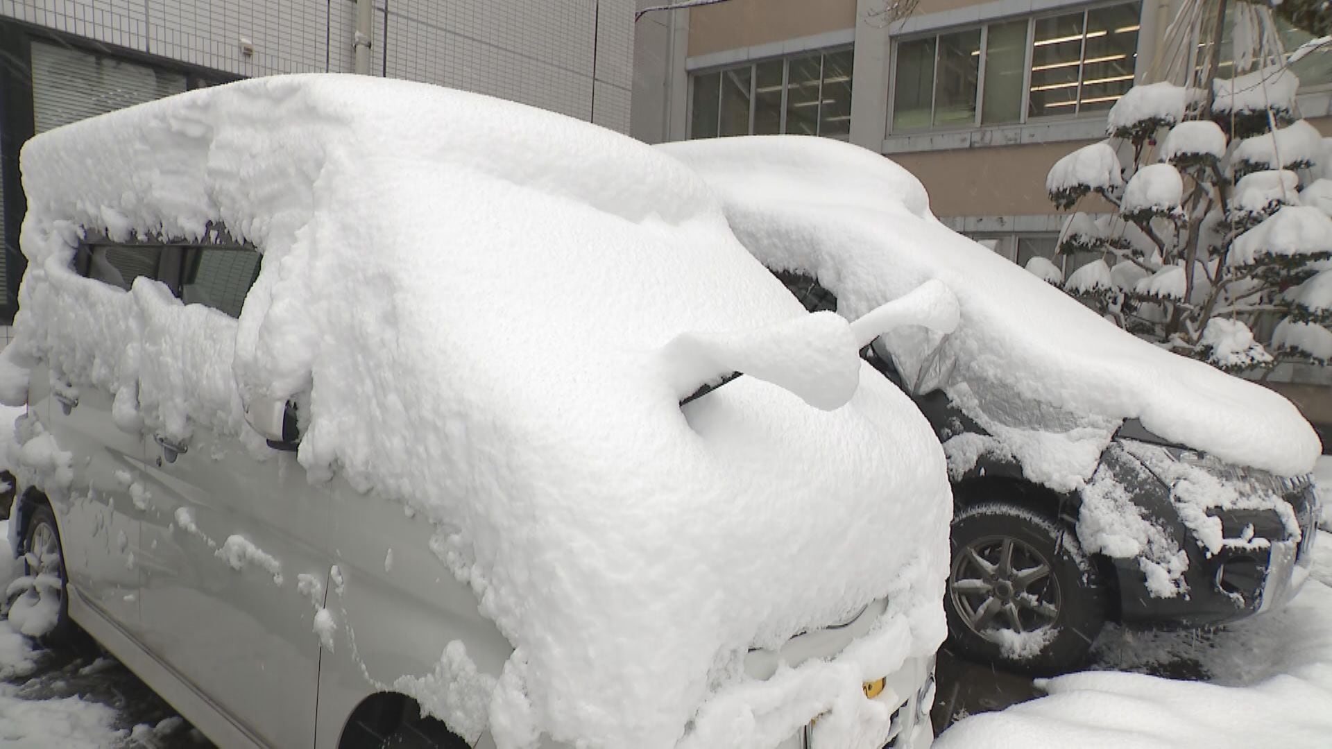 東海北陸自動車道と国道156号・国道304号の通行止めは解除
