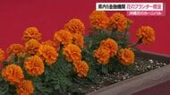 沖縄花のカーニバル県内5金融機関が花のプランター贈る