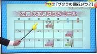 お天気箱「桜の開花いつ？」26日予想から少し早まるか…【佐賀県】