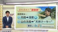 夏休み目前！旅行先に静岡・長野が人気急上昇のワケ　リニューアルで若者注目　近場で“異国感”や“避暑旅”を満喫