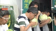 「顎が疲れた…」キャベツを“丸かじり”　サクランボの産地では種吹き飛ばし大会も　全国でイベントめじろ押し