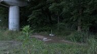 元交際相手の19歳男を逮捕　17歳女子高校生を殺害疑い