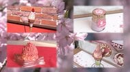 満開の季節を待つ武家屋敷通りから春の便り　桜の名所・角館で見つけた花見気分を盛り上げる限定スイーツ【秋田発】