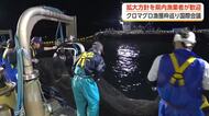大型クロマグロを泣く泣くリリースしていた漁師たちも期待　国際合意で25％増枠、何が変わるのか