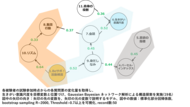 高齢者施設における「推し活」が、高齢者だけでなく施設職員の「生きがい」にも好影響をもたらす可能性を確認