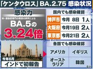 “感染力3倍”新たな亜種『ケンタウロス』国内初確認 感染ピーク山が大きくなる可能性も