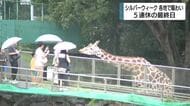 シールバーウィーク最終日は静岡県内各地で賑わい　動物園やお仕事体験など子供たちが楽しむ