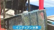 【秋の味覚堪能】千歳市で「第47回インディアン水車まつり」－サケ捕獲用の水車を間近で見学―サーモンイクラ丼の販売や釣り堀などで千歳の秋を満喫…サケ捕獲数は昨年の半数以下に〈北海道千歳市〉