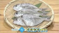 【瀬戸内旬紀行】日生産のイボダイをチーズ春巻きに！鮮魚店５代目が伝授する揚げ方のコツ【岡山・香川】