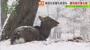 大阪市でも”積雪”…『最低気温0.4度』の厳しい寒さで”電力もひっ迫” 関電「効率的な使用を」